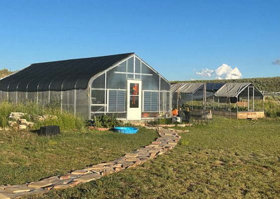 The greenhouse and high tunnel at Bison Prairie Farms near Evanston